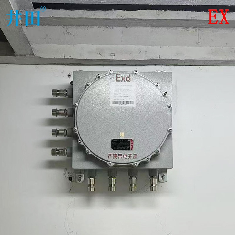 井田 CT6防爆门禁控制箱 BJX 安装展示